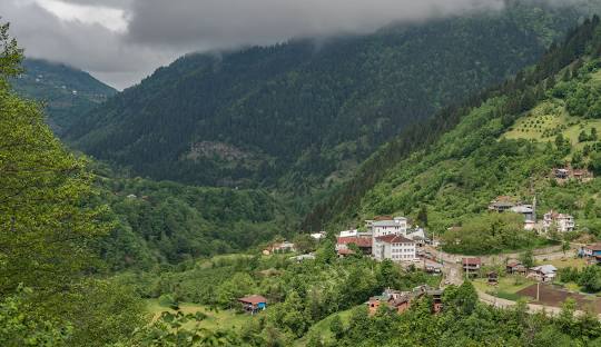 Artvin