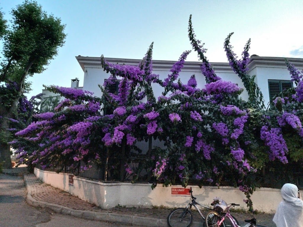 Pelit Boutique Hotel