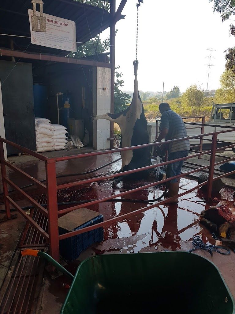 Aksu Arifiye Öğrenci Yurdu