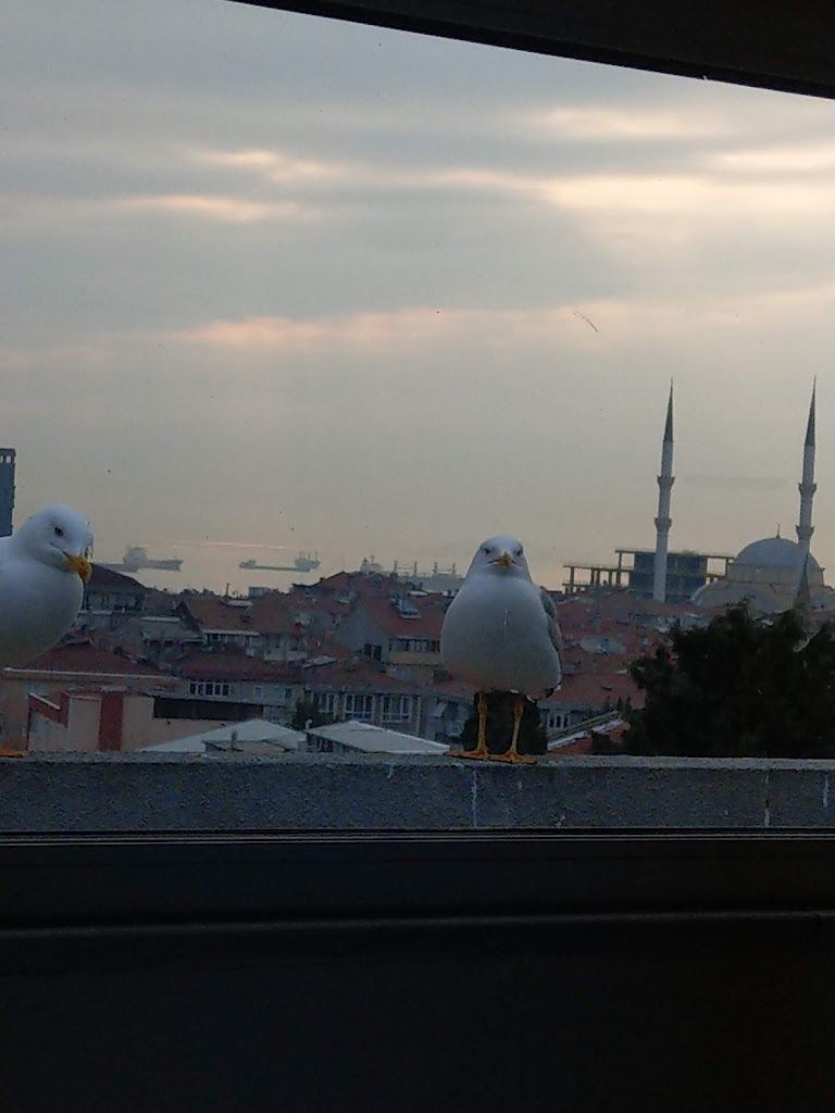 Hotel Kuk Bakırköy Hotel
