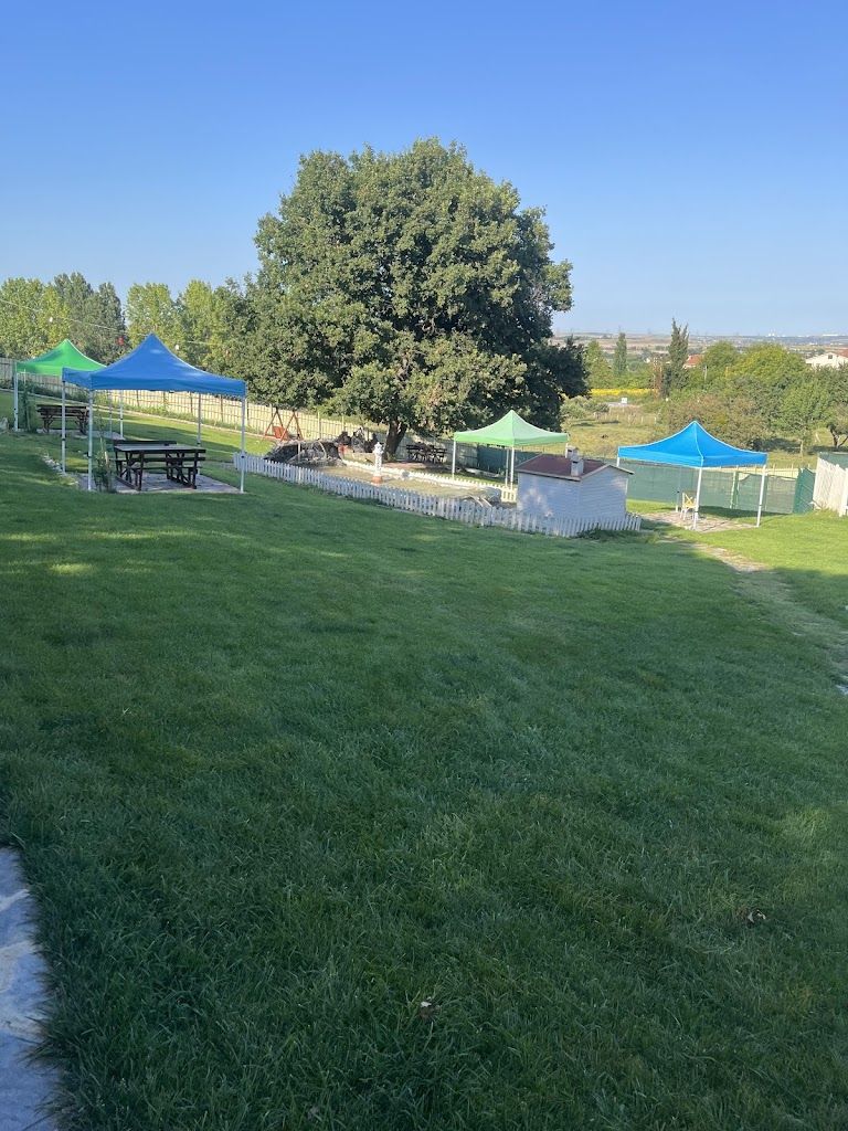 Altın Patiler Çiftliği