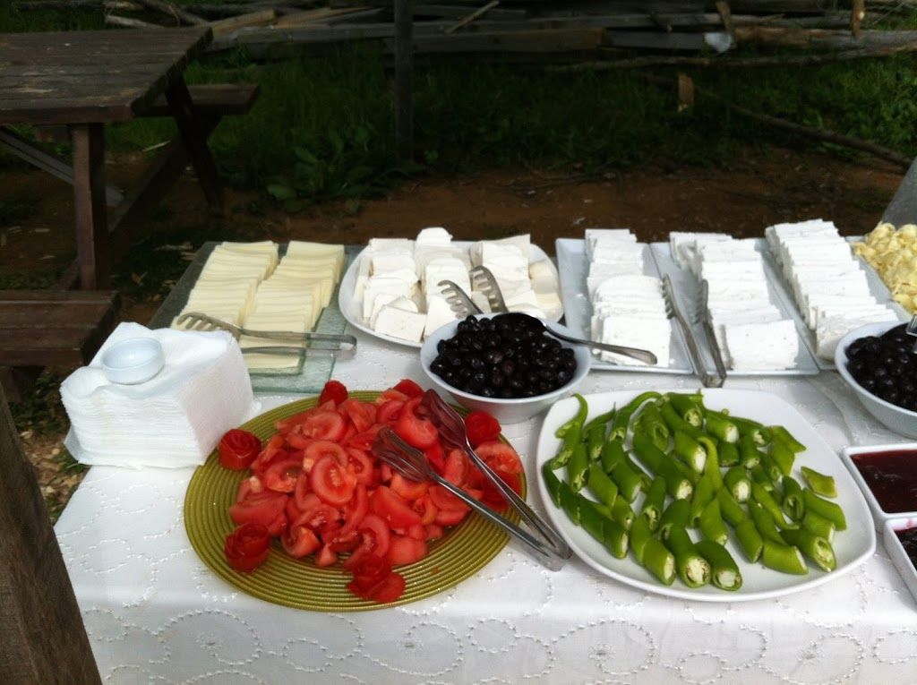 Live Asist Beach Canlı Orman