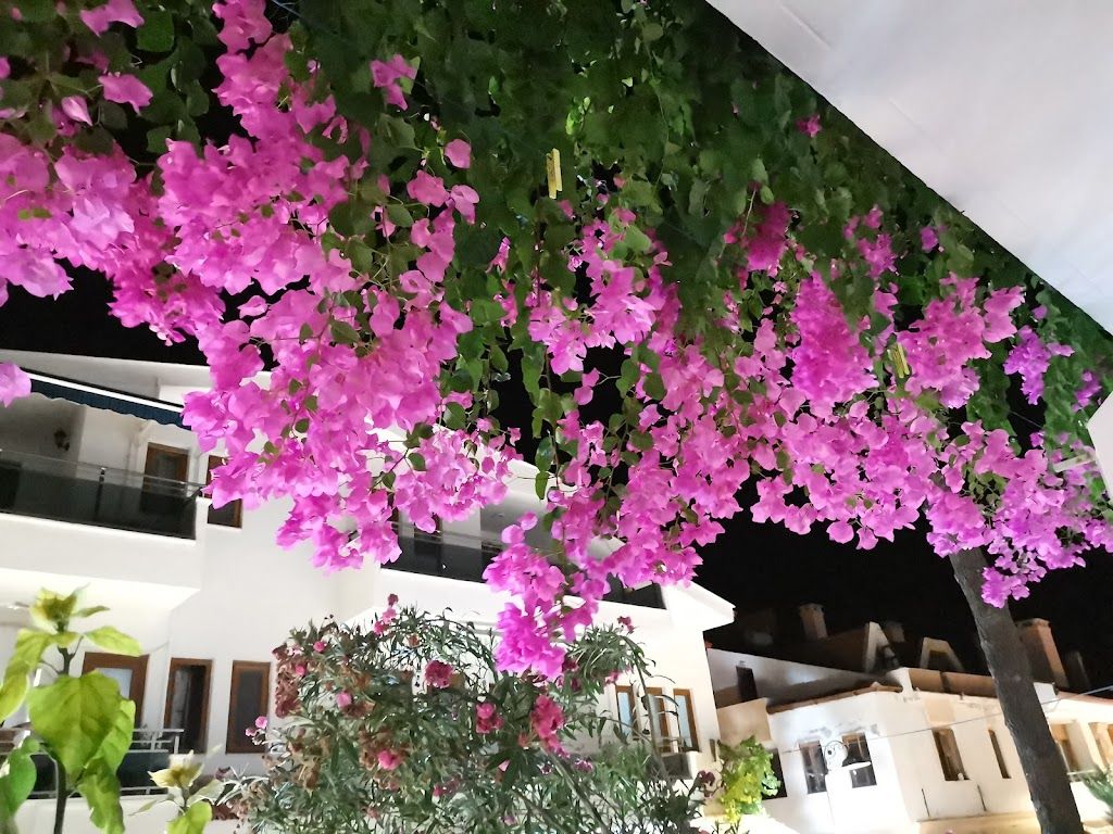 Tunç Pansiyon Datça