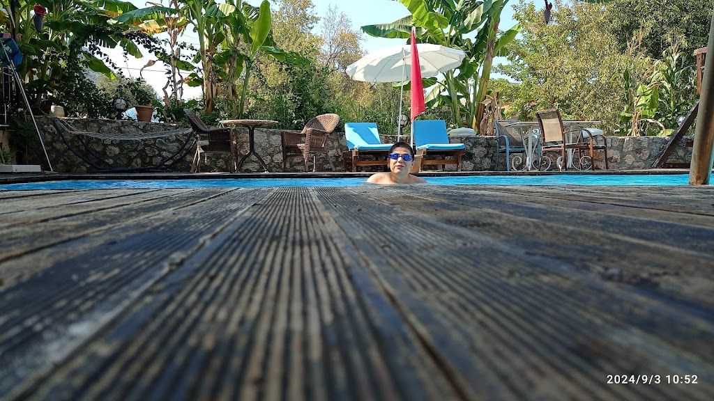 olüdeniz ayyıldız /ölüdeniz moonstar