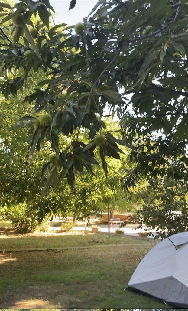 OTANTİK ÇADIR VE KARAVAN KAMPI