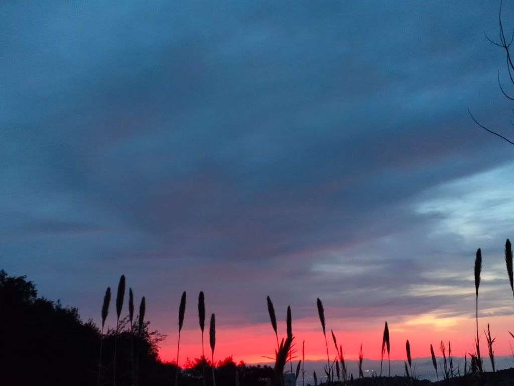 Gülizar Hotel Konyaaltı