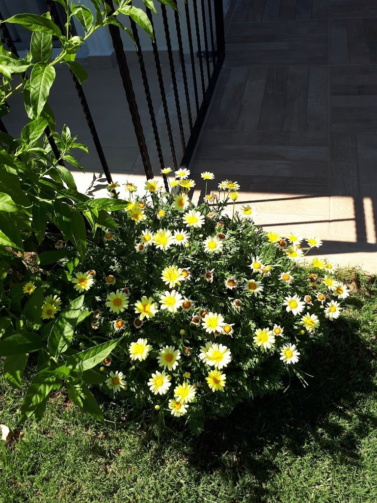 Su Apart Otel Ekincik