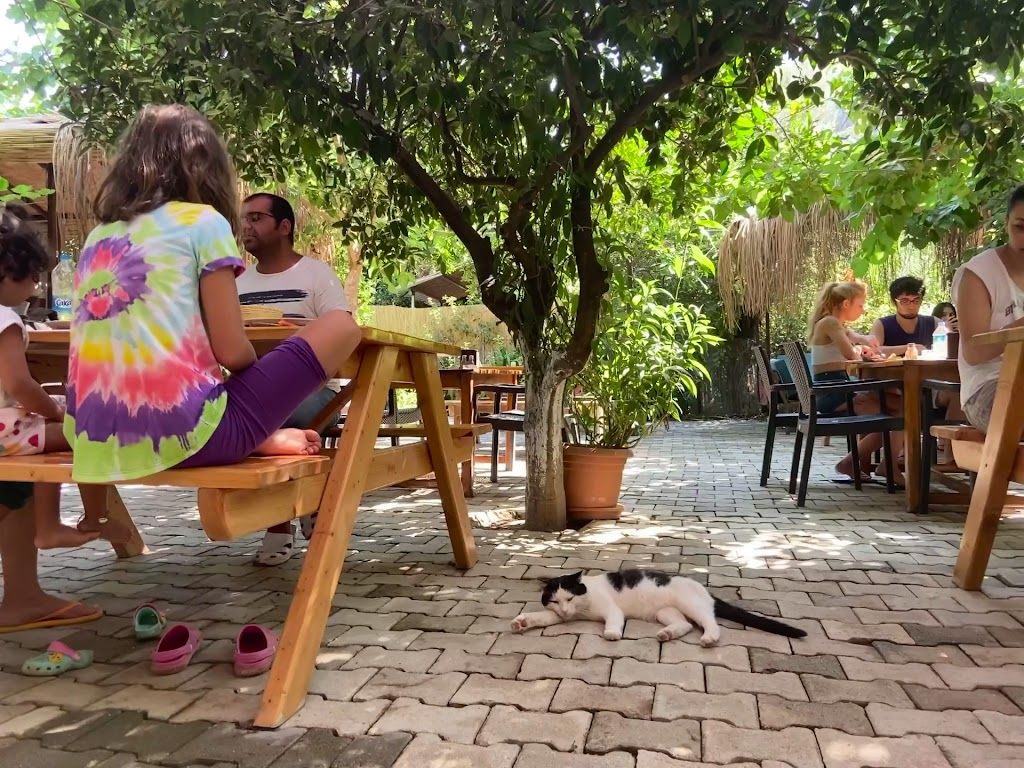 Olimpos Mercan Bungalow