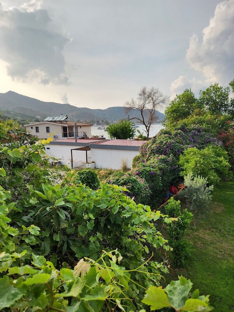 Selimiye Çapkını Pansiyon