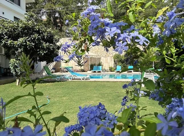 White Suites İçmeler