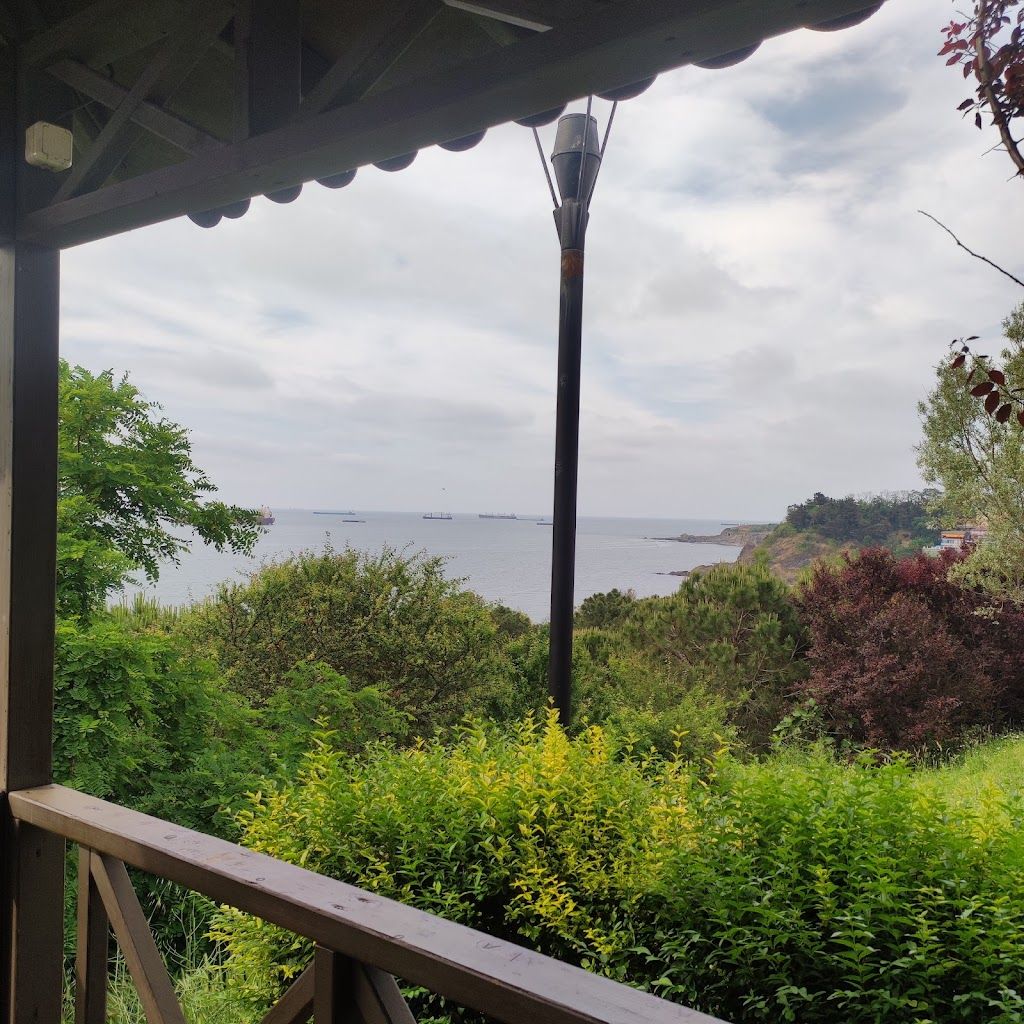 Sarıyer Belediyesi Sosyal Tesisleri