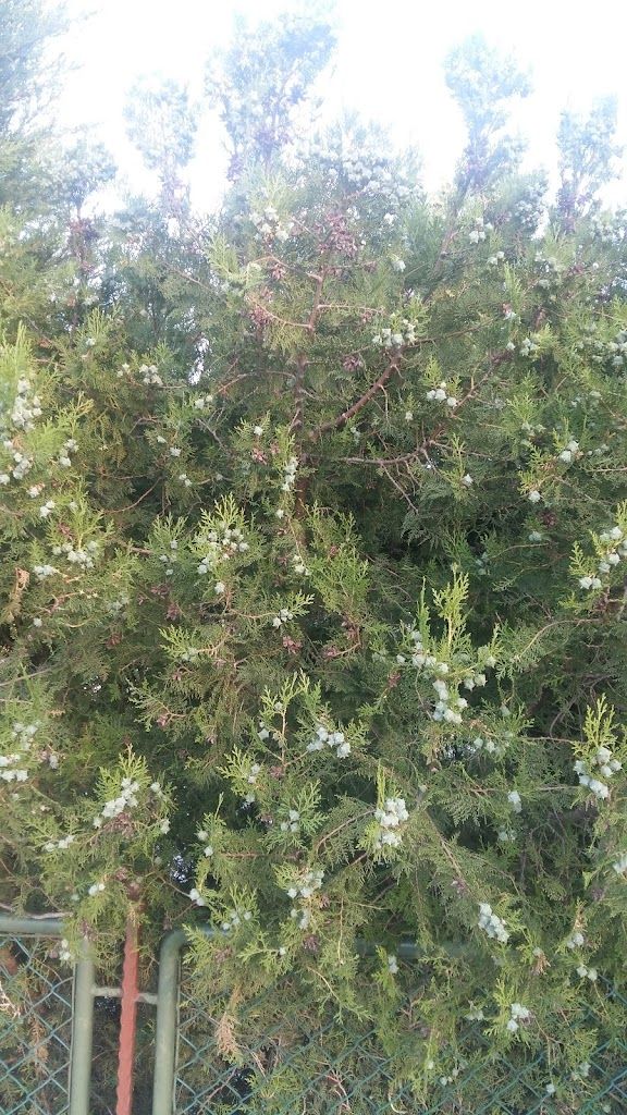 Gümüşova Resort Hotel