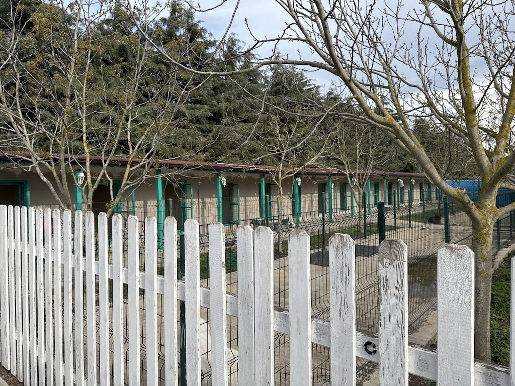 Lotus Pet Country Köpek Hotel & Pansiyon ve Eğitim Hizmetleri