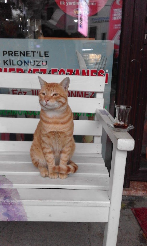 Selis Otel & Restaurant